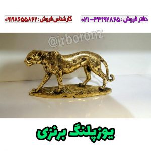 یوزپلنگ برنزی